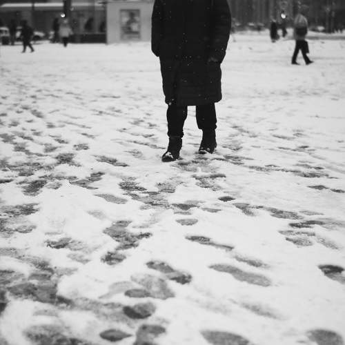 Photo #11631931