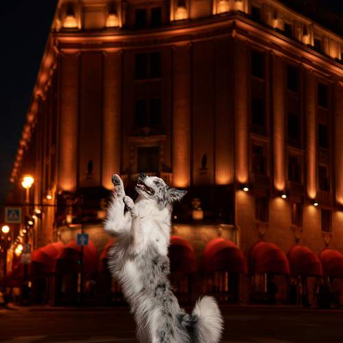 Photo #11632095