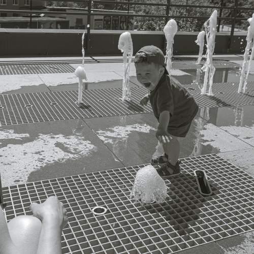 Photo #11632481