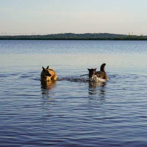 Photo #11632549