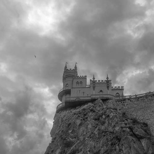 Photo #11632630