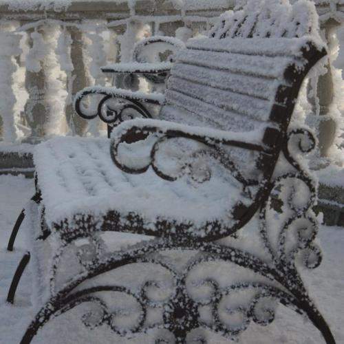 Photo #11632744