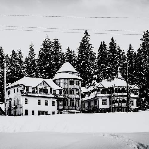 Photo #11632770