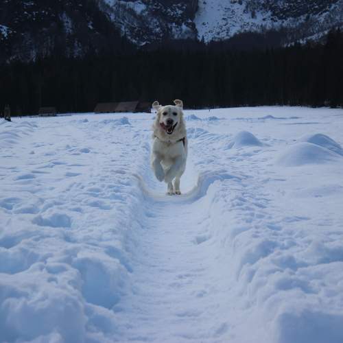 Photo #11633324