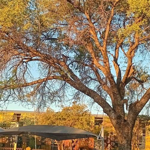 Photo #11633844