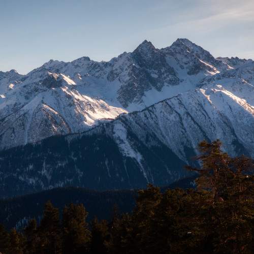 Photo #11633881