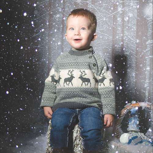 Photo #11634003