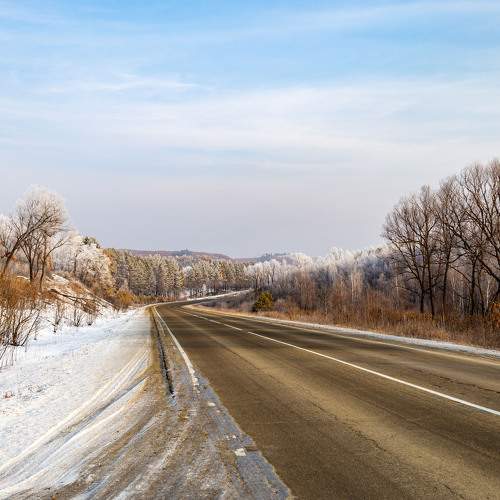 Photo #11634083