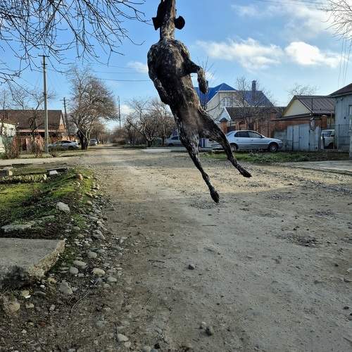 Photo #11634442
