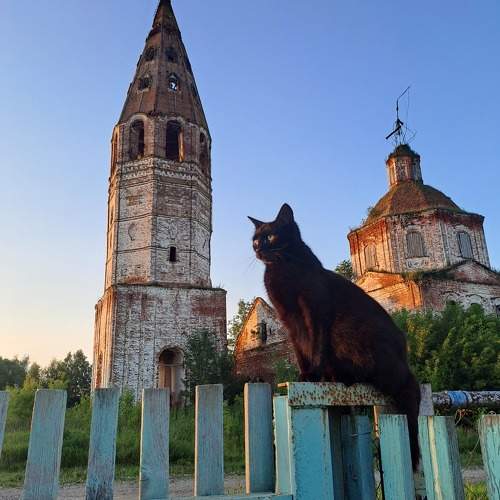 Ритусик