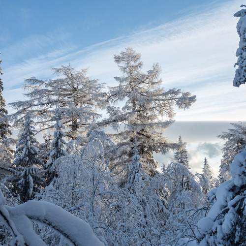 Photo #11635215