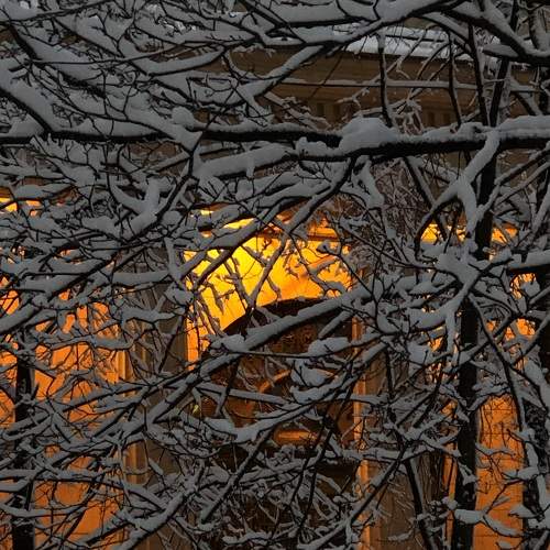 Photo #11635281