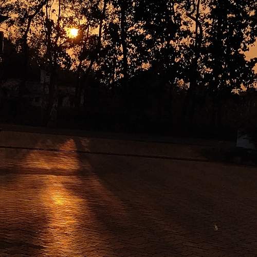 Golden Horizon