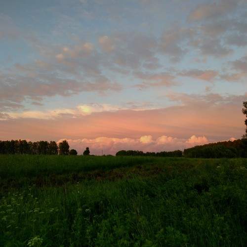 Photo #11635502