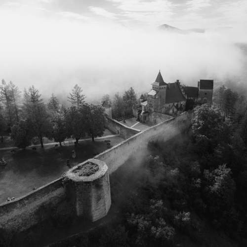 Photo #11635663