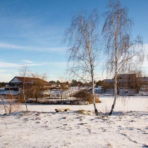 Photo #11636015