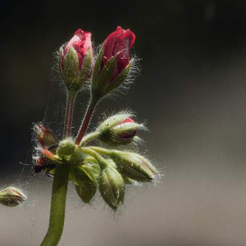 Photo #11636224