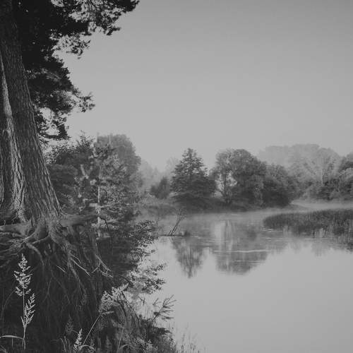 Photo #11636678