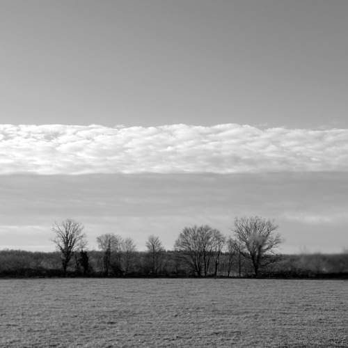 Photo #11636725