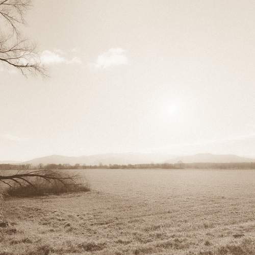 Photo #11636734