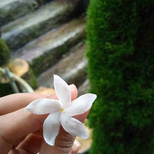 Photo #11637433