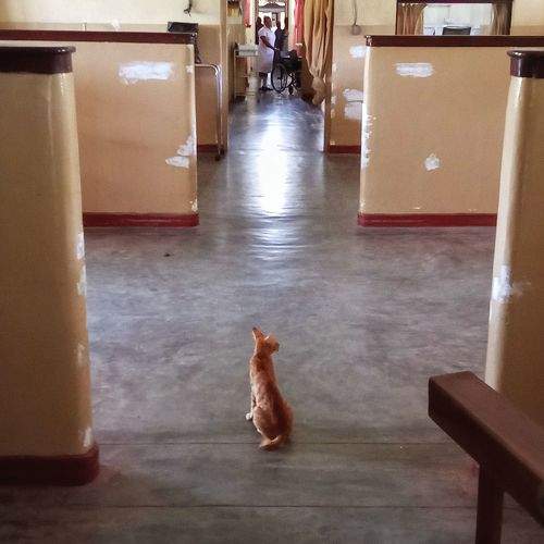 Photo #11637435
