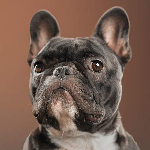 Photo #11637453