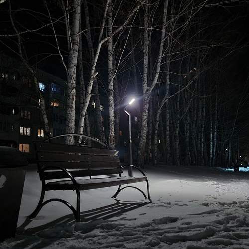 Photo #11637742