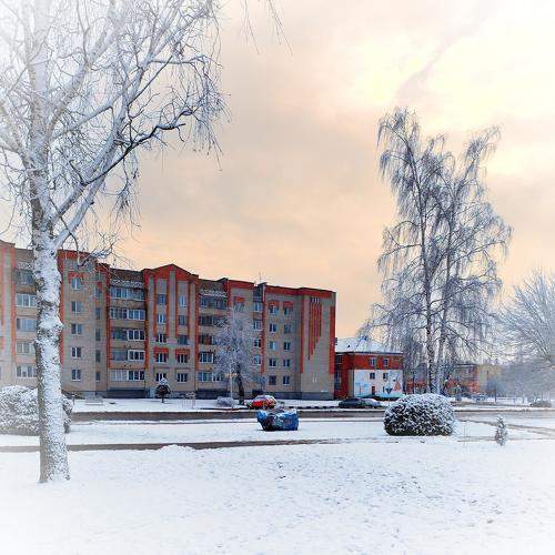 Photo #11637951