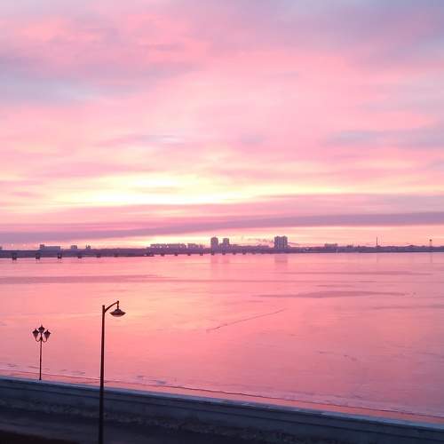 Photo #11638162