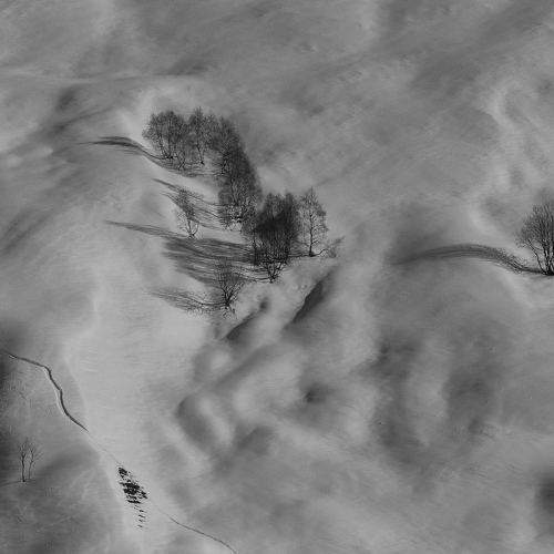 Photo #11638544