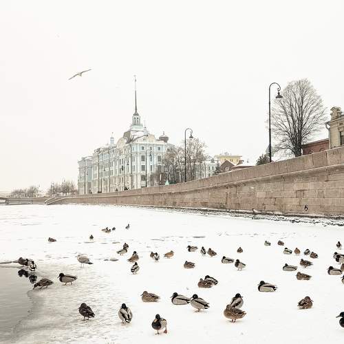 Photo #11638617