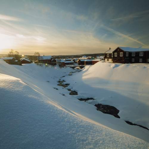 Photo #11639135