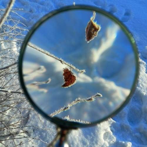 Photo #11639216