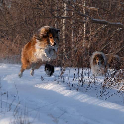 Photo #11639363