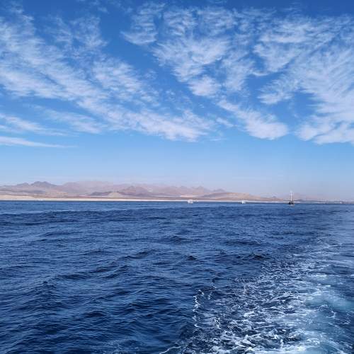 Photo #11639478