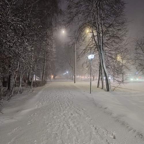 Photo #11639860
