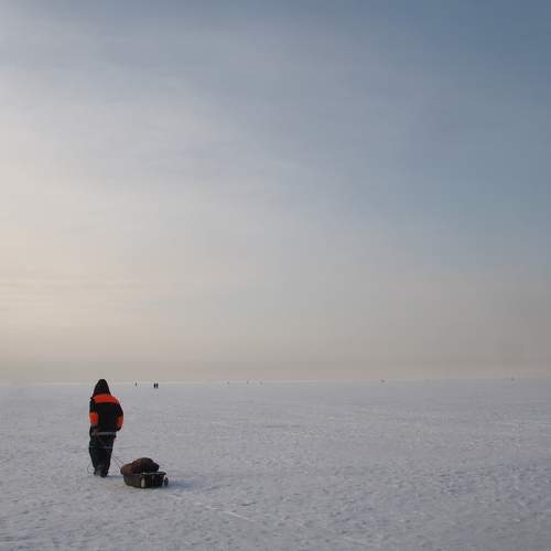 Photo #11639901