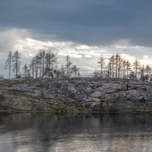Photo #11640264
