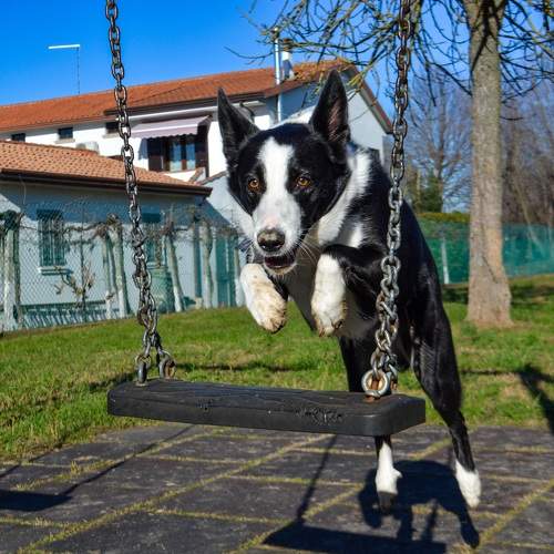 Photo #11640483