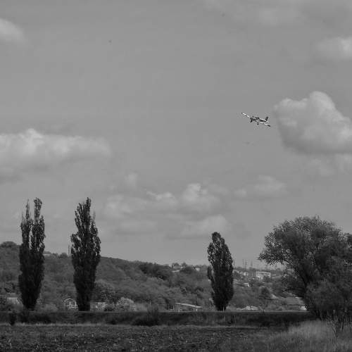 Photo #11640519