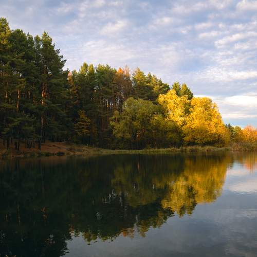 Photo #11640639