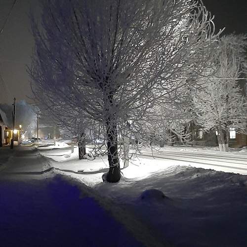 Photo #11640735