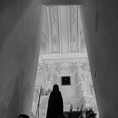 Photo #11640758
