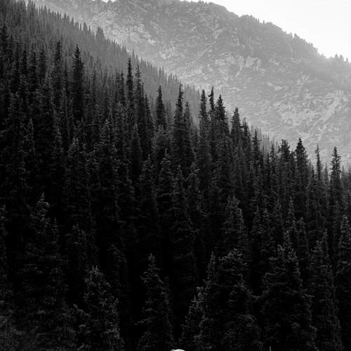 Photo #11640860