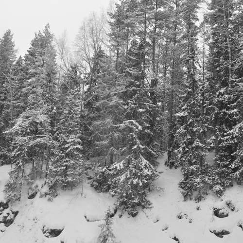 Photo #11640917