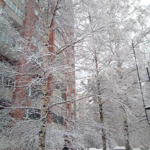 Photo #11640921