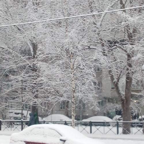 Photo #11640943