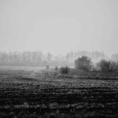 Photo #11641043