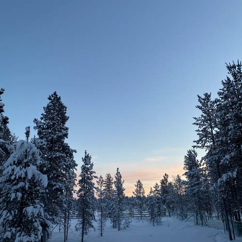 Photo #11641160